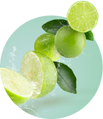 Texto alternativo para a imagem