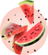 Texto alternativo para a imagem