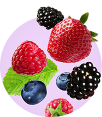 Texto alternativo para a imagem