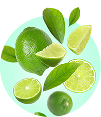 Texto alternativo para a imagem