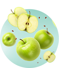 Texto alternativo para a imagem