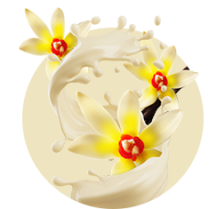 Texto alternativo para a imagem