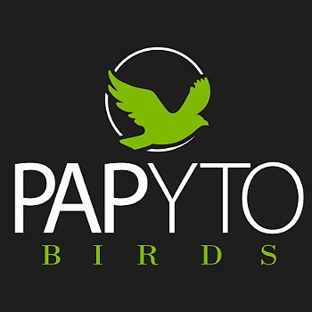 Papyto Birds