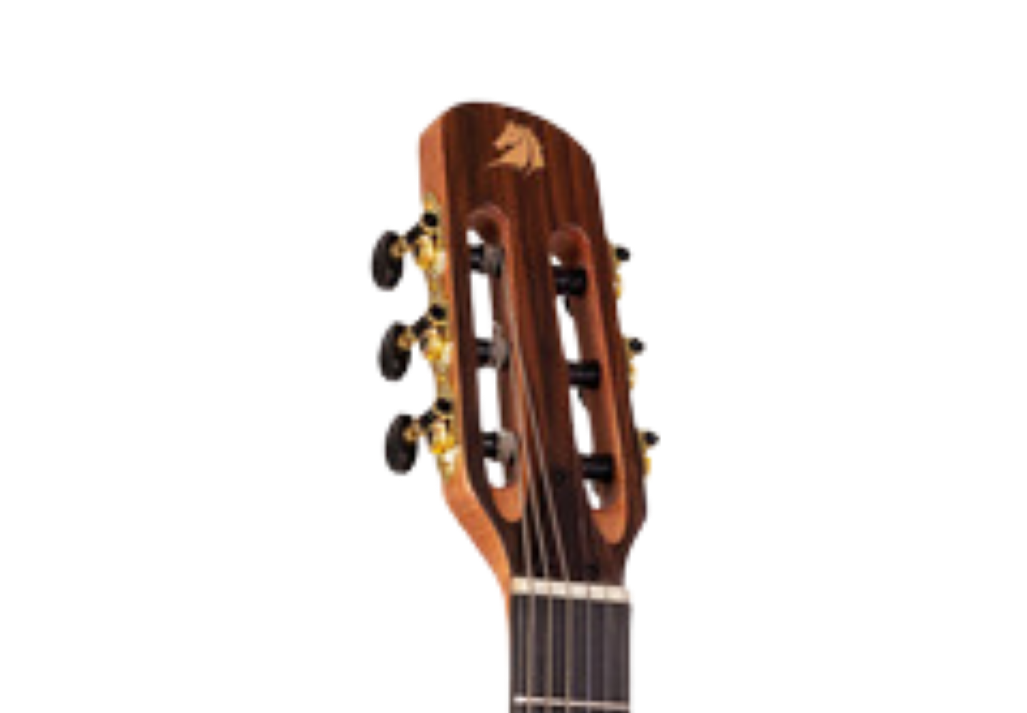 Design Cutaway Premium