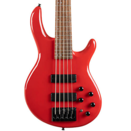 Cort G250SE Double Cutaway Premium