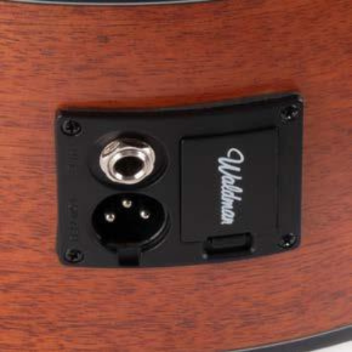 Sapele Back & Sides