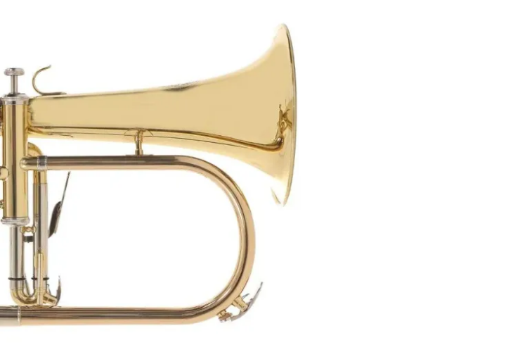 Flugelhorn Zellmer ZFH600L dentro do estojo luxo que o acompanha
