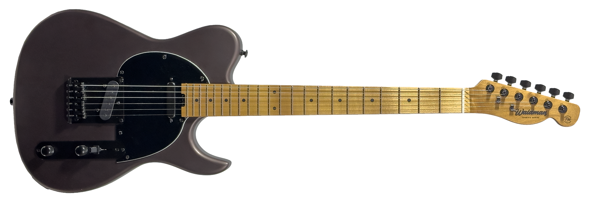 Waldman GTE-441X COS/B Cosmic Sunburst/Black