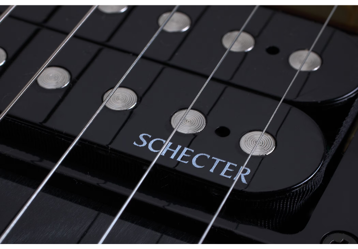 Ponte Floyd Rose Special black chrome