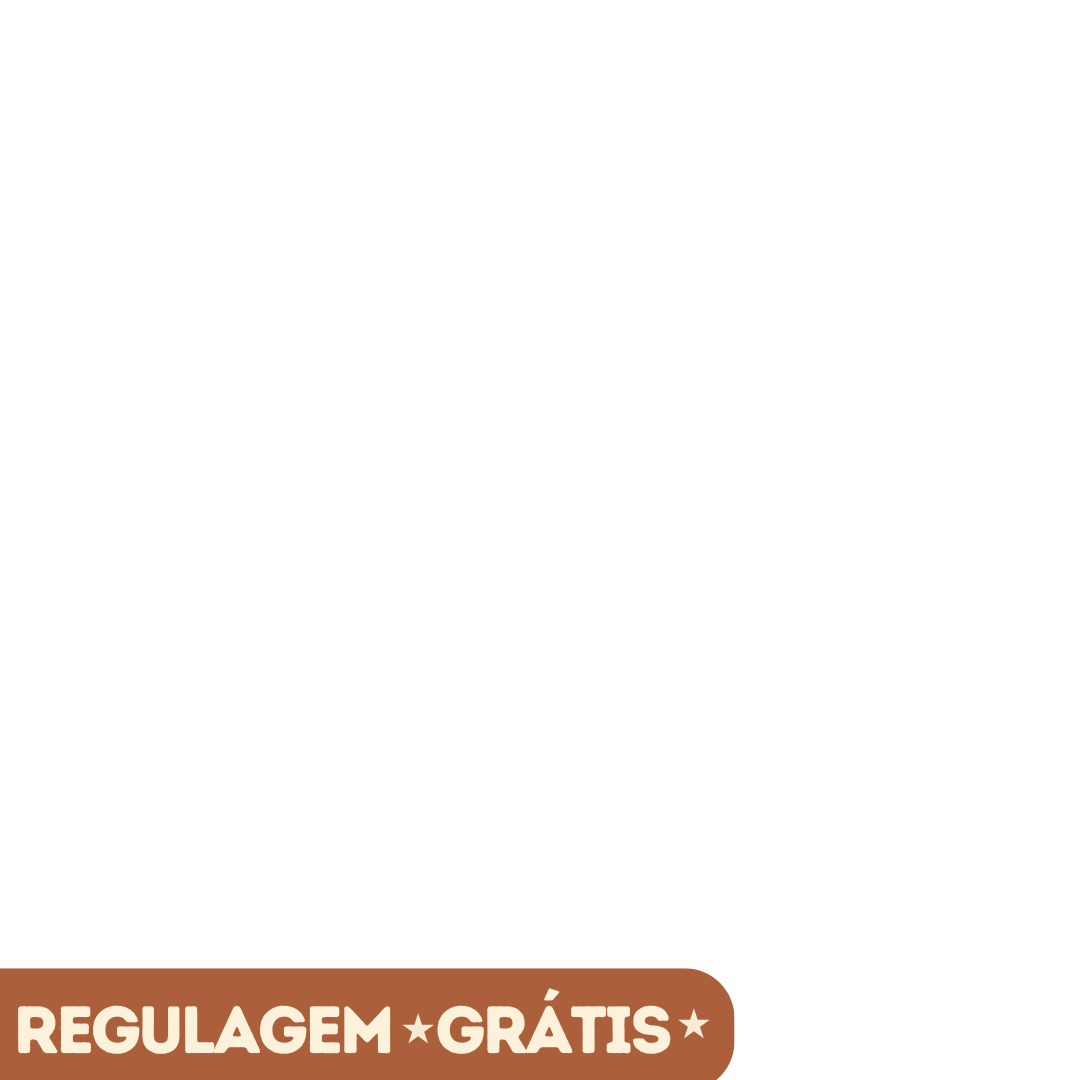 Regulagem inclusa