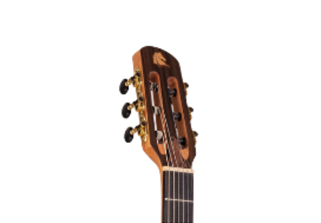 Design Cutaway Premium