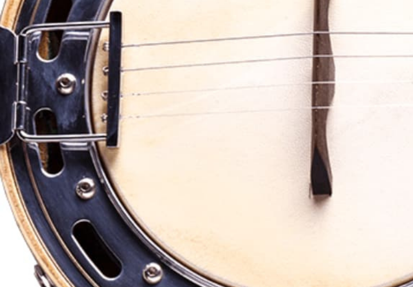 Banjo Rozini RJ11ELV verde mostrando acabamento brilhante