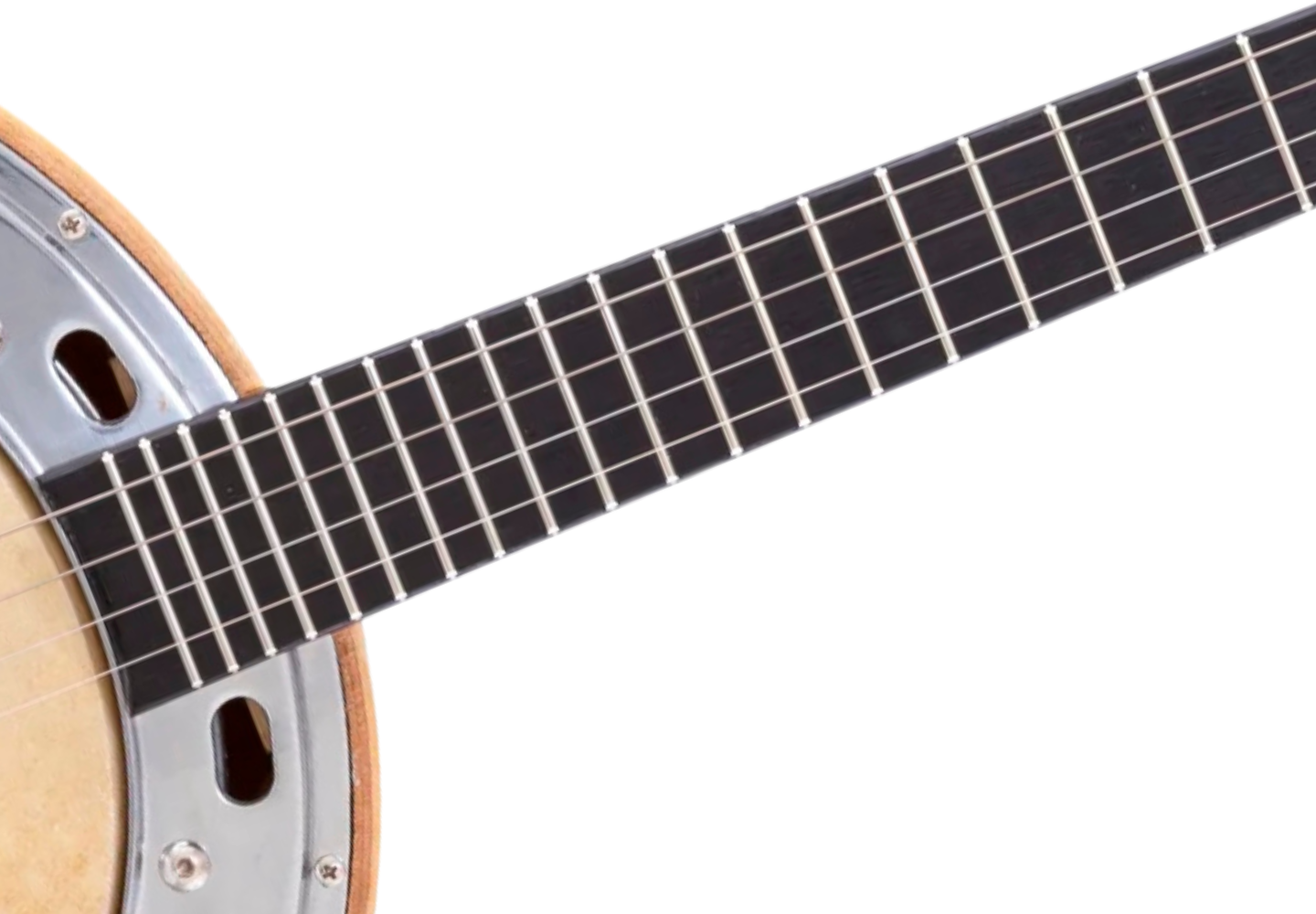 Detalhe do aro de alumínio e pele animal do RJ11ELV