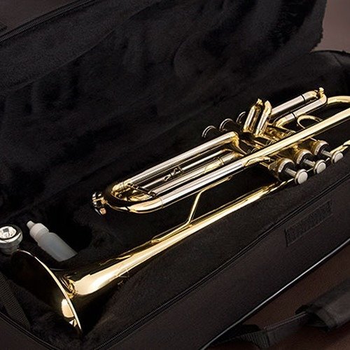 Kit Trompete Laqueado C/ Estante Suporte Hardcase Tr504 Eagl