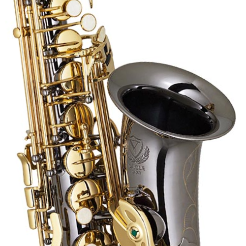 Saxofone Alto Eagle SA500BG Black Onyx com Chaves Douradas Afinação Si Bemol Estojo Extra Luxo