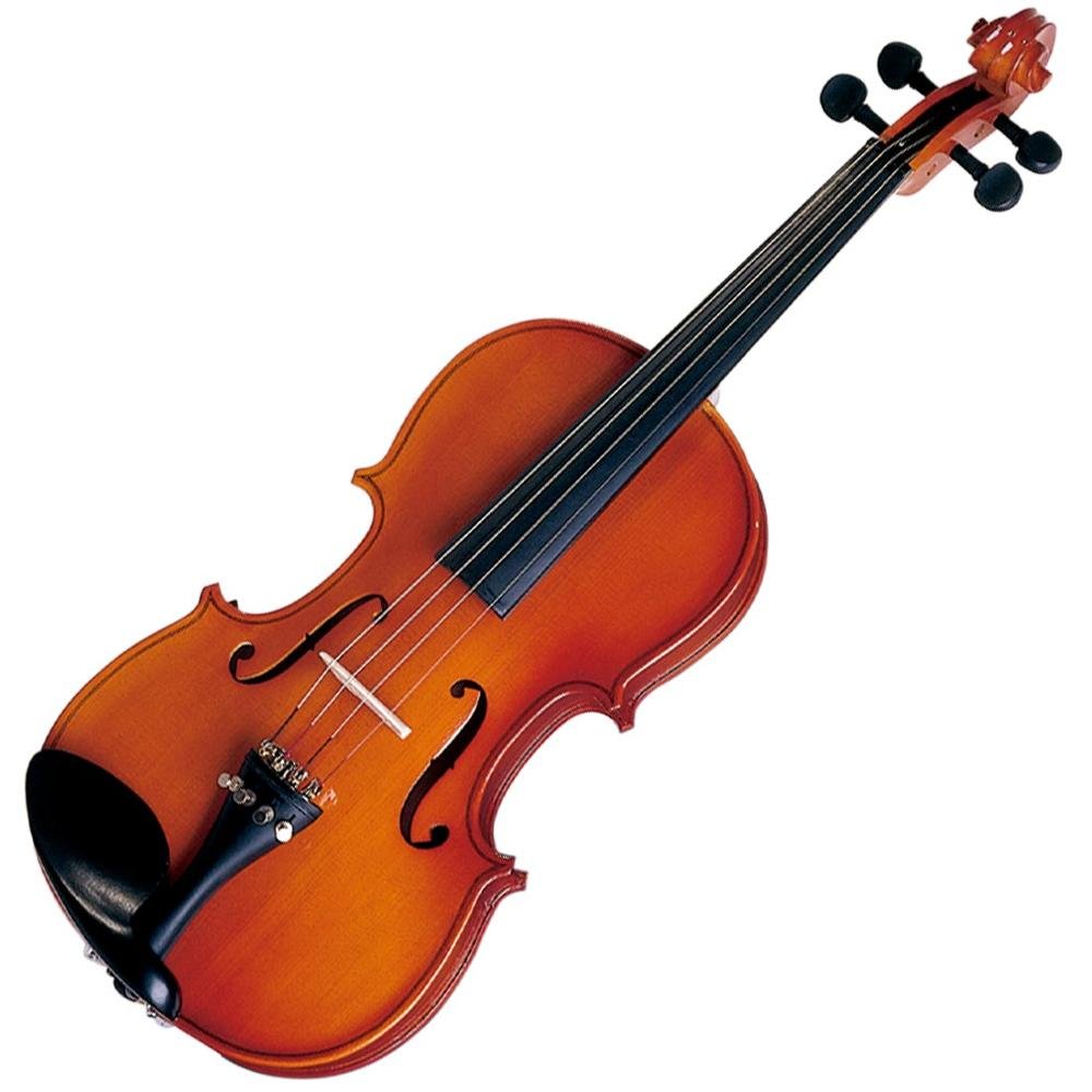 Violino Michael Vnm40 4/4  Arco De Crina Animal - Tradicional Series