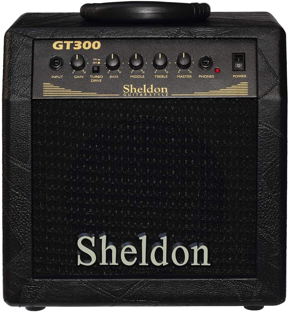 Cubo Amplificador Sheldon Para Guitarras GT300 30w
