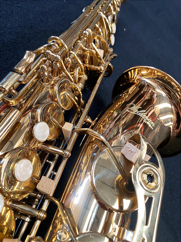 Saxophone Alto Profissional Waldman, Mi Bemol com Case e Acessórios, Molas Blue Steel Mod WSA GD/OL