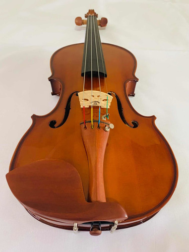 Violino 4/4 Ve441 Eagle + Estante De Partitura Tuner Music