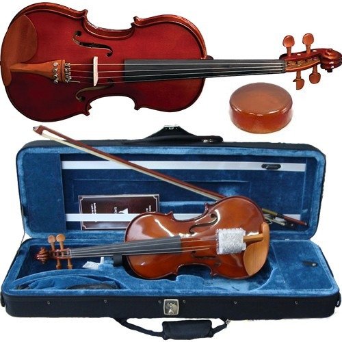 Violino Eagle Ve441 4/4 Envernizado + Case + 2 Espaleiras