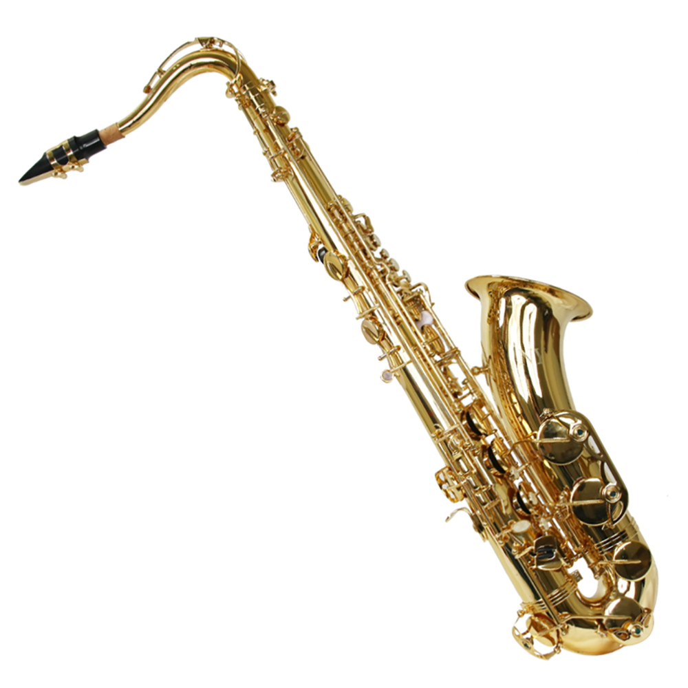 Saxofone Tenor Ts 200 Laqueado Dourado Com Case New York