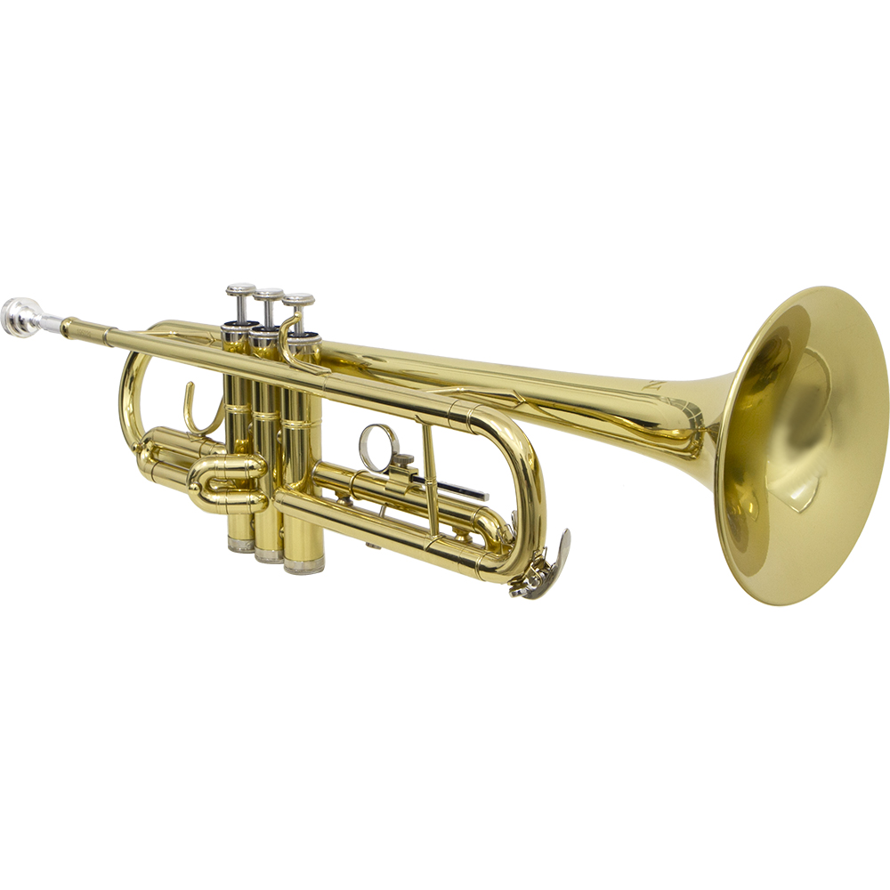 Trompete Tp 200 Laqueado Dourado Com Case New York