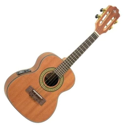 Cavaco Eletroacústico Strinberg CS25E Mahogany Satin