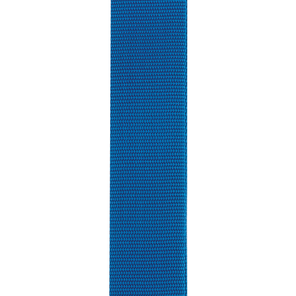 Correia Azul D Addario Auto Lock Polypro PWSAL402