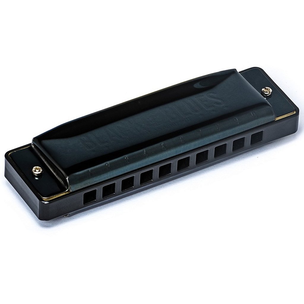 Gaita Hering Diatônica Black Blues C Dó 6020C 20 Vozes C/ Case