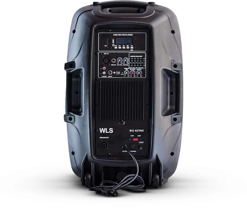 Caixa De Som Acústica WLS S12 12" 250w Com Bluetooth FM SD e USB