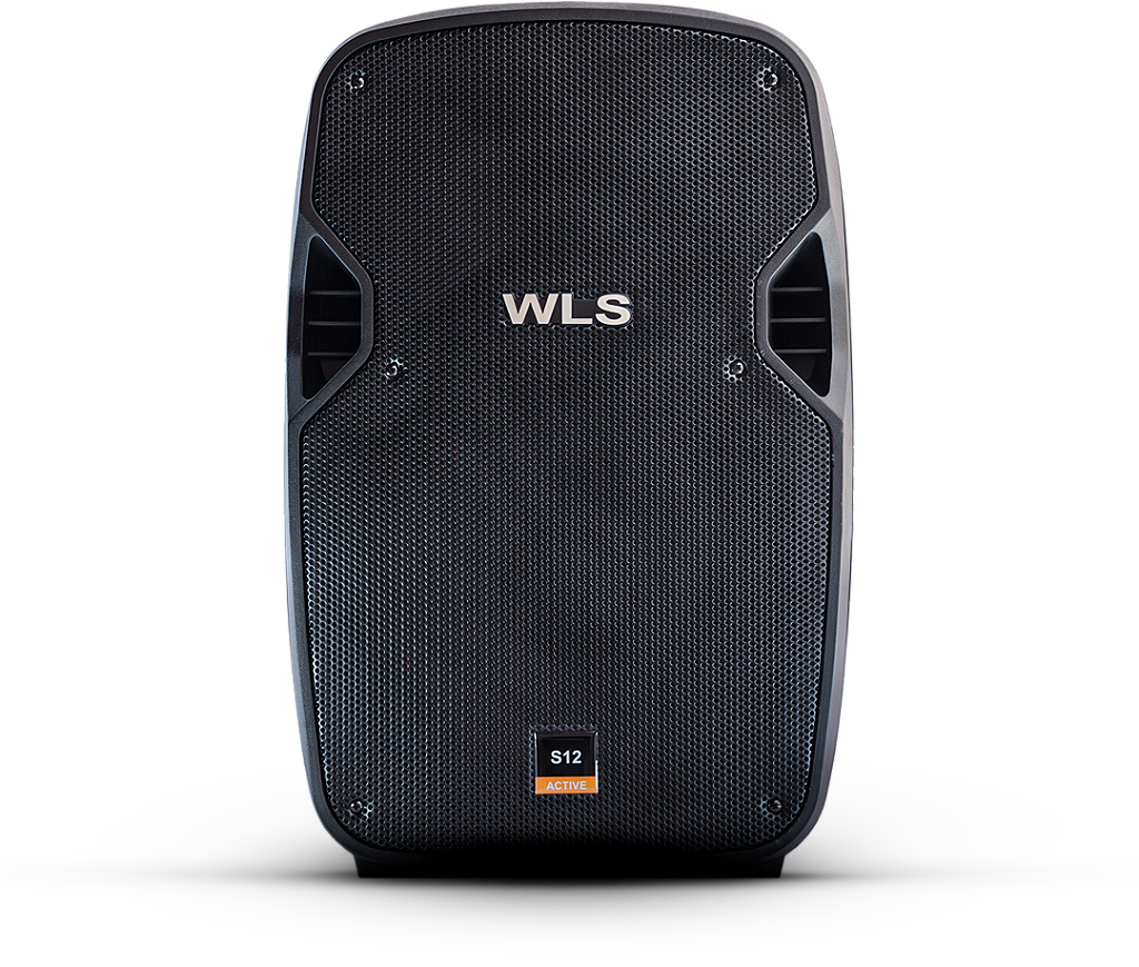 Caixa De Som Acústica WLS S12 12" 250w Com Bluetooth FM SD e USB