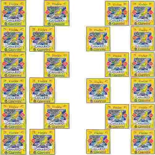 Kit 2 Caixas De Encordoamento Giannini Aço + Nylon Canário