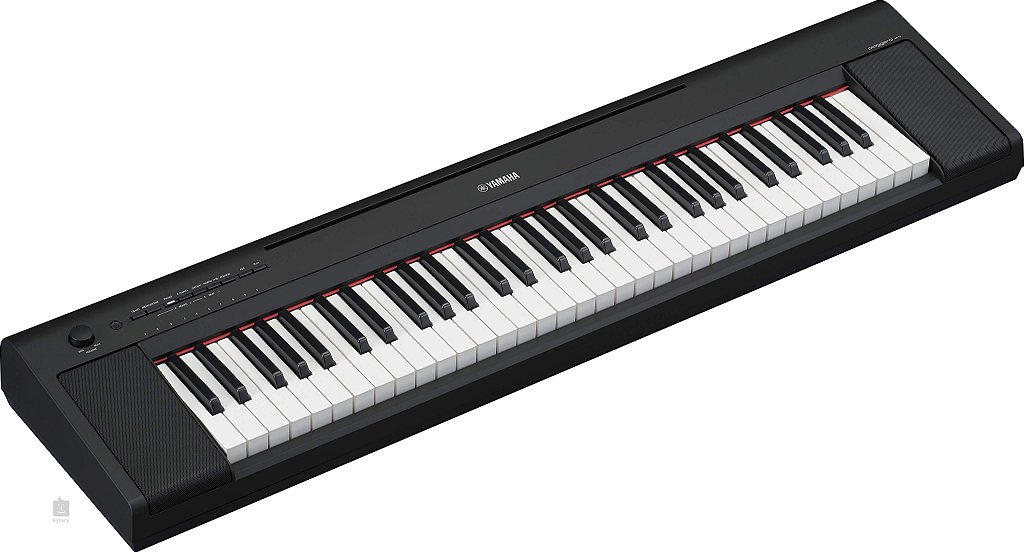 Teclado Yamaha Piaggero NP-15 NP15 Preto 5/8 Oitavas - Loja