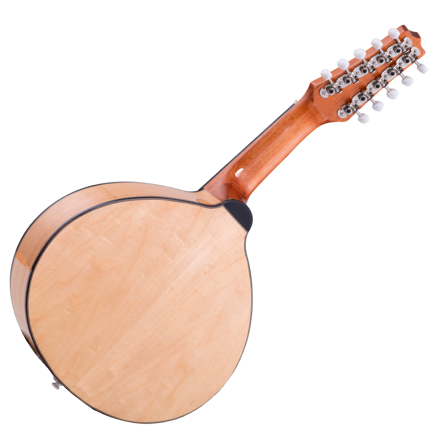 Bandolim Rozini RB 25 AC HH Acústico Hamilton de Holanda