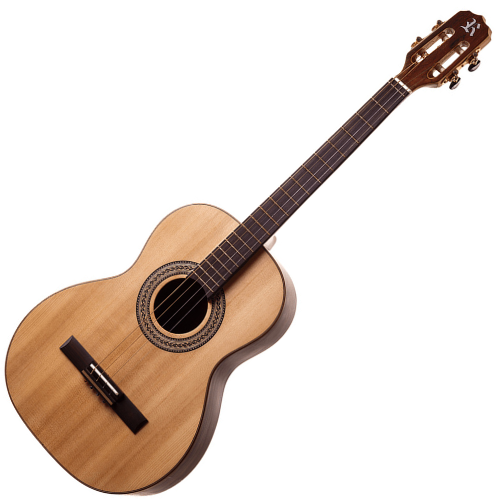 Violão Elétrico Rozini Profissional Tenor RX208.AT.N.J EQ