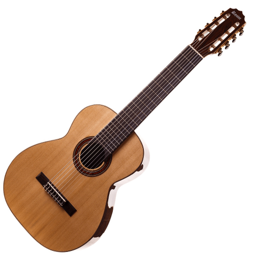 Violão Elétrico Rozini Profissional 8 Cordas RX228.AT.N.J EQ