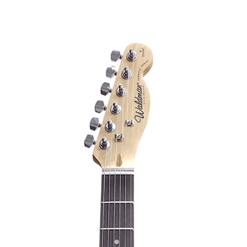 Guitarra Waldman GTE-100T BK Black - Traditional Electric Series