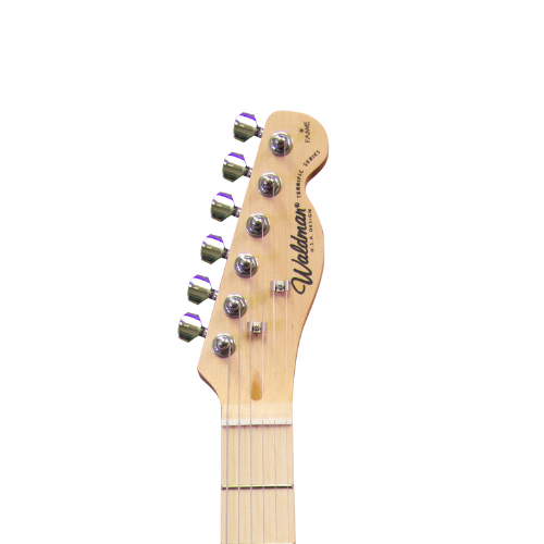 Guitarra Waldman GTE-300 2TS Two-Tone Sunburst - Traditional Electric Series Professional