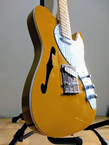 Guitarra Waldman GTE-300 CP Cherry Pie - Traditional Electric Series Professional