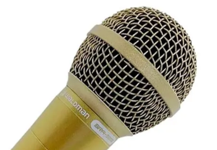 Microfone Dinâmico Waldman BRA-5800