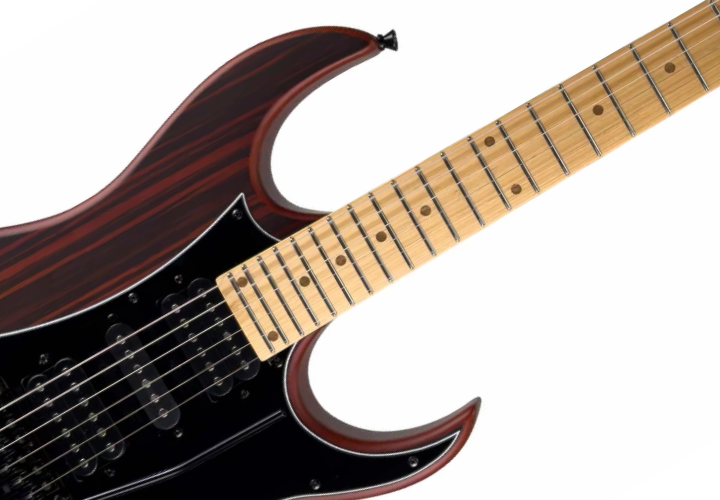 Guitarra Waldman WIG250 DN Dark Natural com Captadores HSH Cerâmicos e Ponte Floyd Tremolo Black e Bag