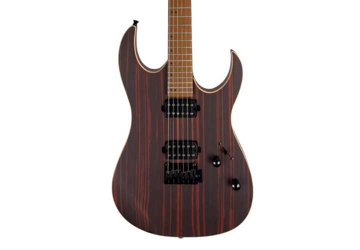 Guitarra Waldman WIGR220 DN Dark Natural com Captadores HH Cerâmicos e Ponte Tremolo Semi-Flutuante 2 Pivôs Black