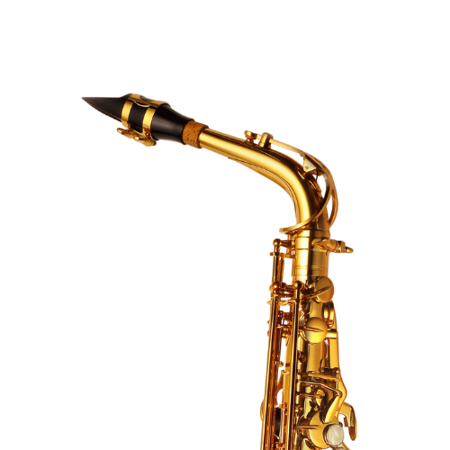 Saxofone Alto P. Mauriat PMSA-185 AGL Gold Lacquer com Tudel Super VI e Campana Gravada à Mão