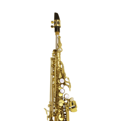 Saxofone Soprano P. Mauriat Le Bravo 200 SGL Gold Lacquer com Tudel Reto e Curvo Banhado a Prata e Corpo Gravado à Mão