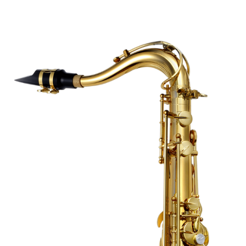 Saxofone Tenor P. Mauriat PMXT-66RGL Gold Lacquer com Tudel Super VI e Campana Gravada à Mão