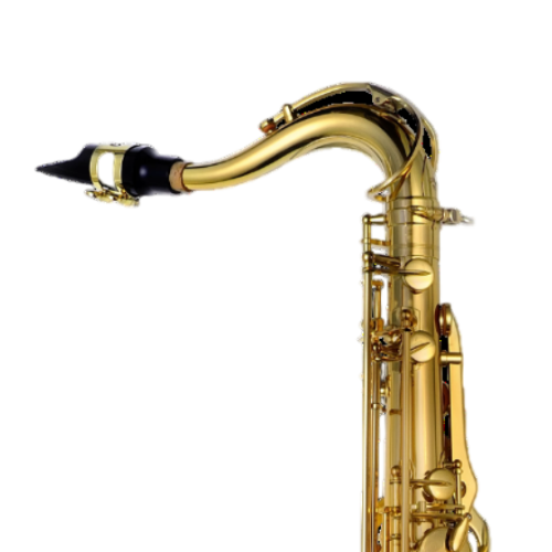 Saxofone Tenor P. Mauriat System-76 II TGL Gold Lacquer com Tudel Super VI e Campana Gravada à Mão