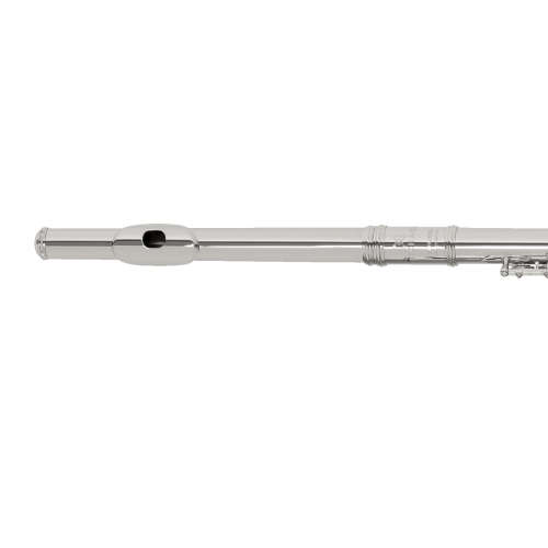 Flauta Transversal Michael WFLM33 Niquelada Bocais Reto Curvo Dual G Off Set Mi Mecânico Chaves Fechadas com Case