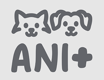 Ani+