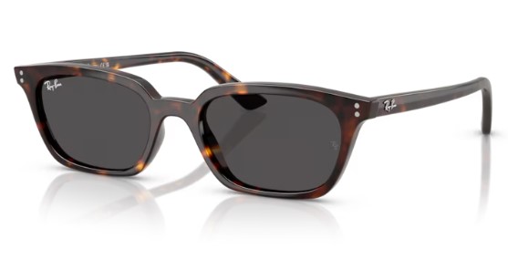 RAY BAN ZAYA RB 4456 1359/87 53 - ÓCULOS DE SOL - Ótica 512