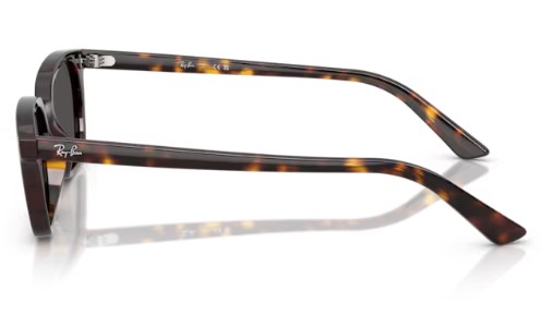 RAY BAN ZAYA RB 4456 1359/87 53 - ÓCULOS DE SOL - Ótica 512